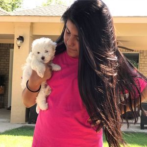 Meet your Posher, Conchis